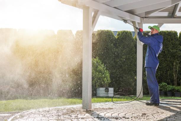 Best Roof Washing  in Olympia, SC